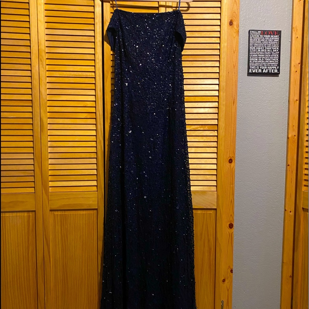 Adrianna Pappel floor length formal dress